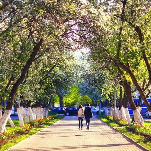 Sophia’s Success Story