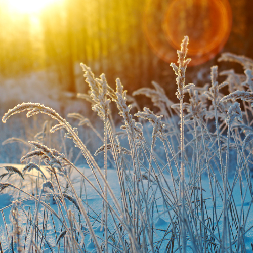 Nadine’s Recovery Journey