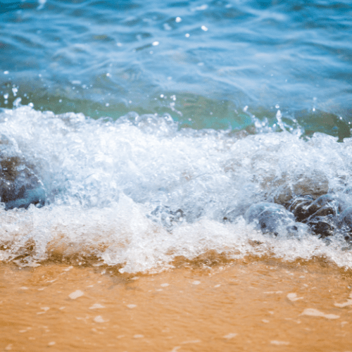 Dylan’s Recovery Journey