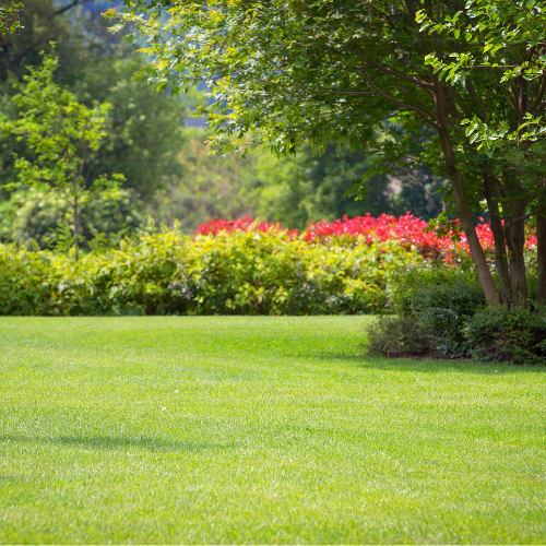 Amina’s Recovery Story