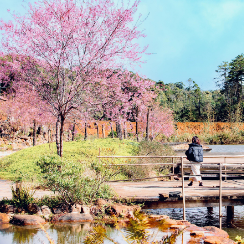 Grace’s Recovery Story